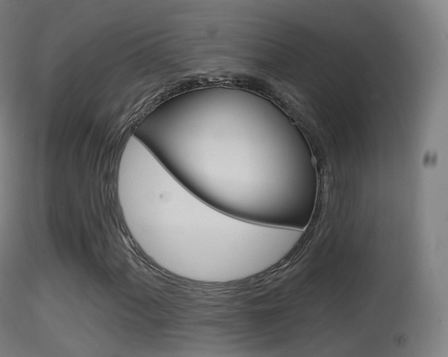 X0000114671060200910211004