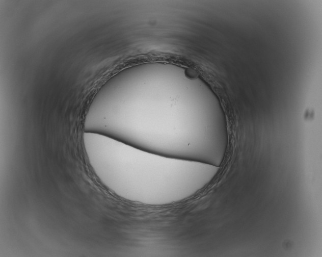 X0000114671061200910211004
