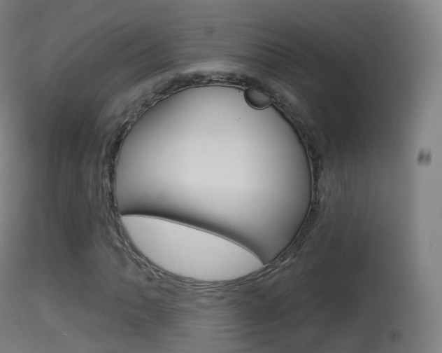X0000114671062200910211004