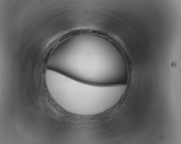 X0000114671064200910211004