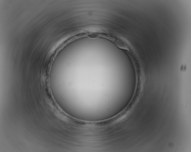 X0000114671065200910211004