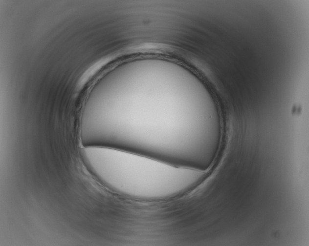 X0000114671066200910211004