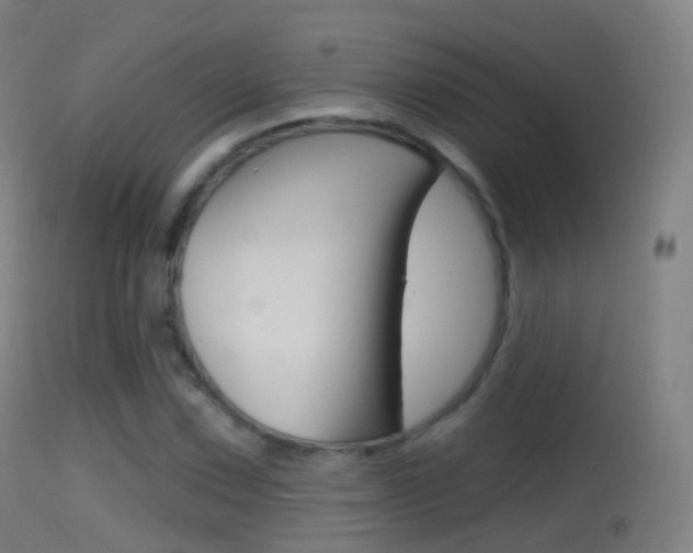 X0000114671067200910211004