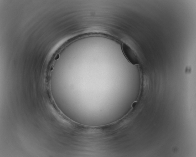 X0000114671068200910211004