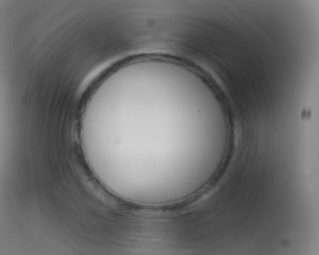 X0000114671069200910211004