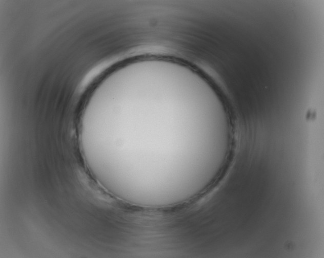 X0000114671070200910211004