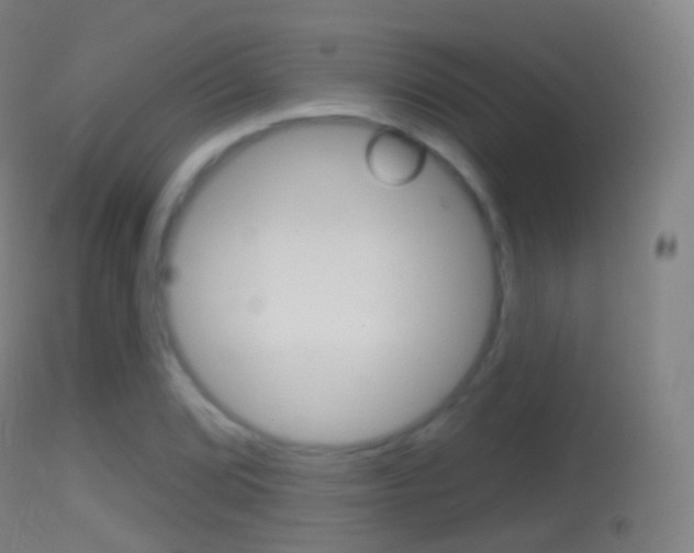 X0000114671072200910211004