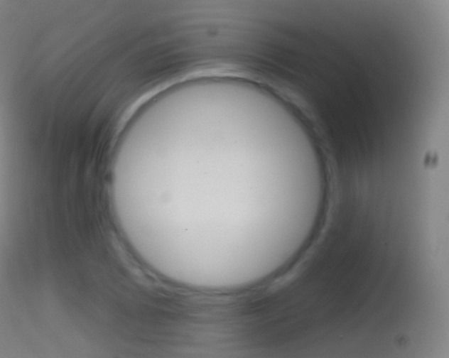 X0000114671073200910211004