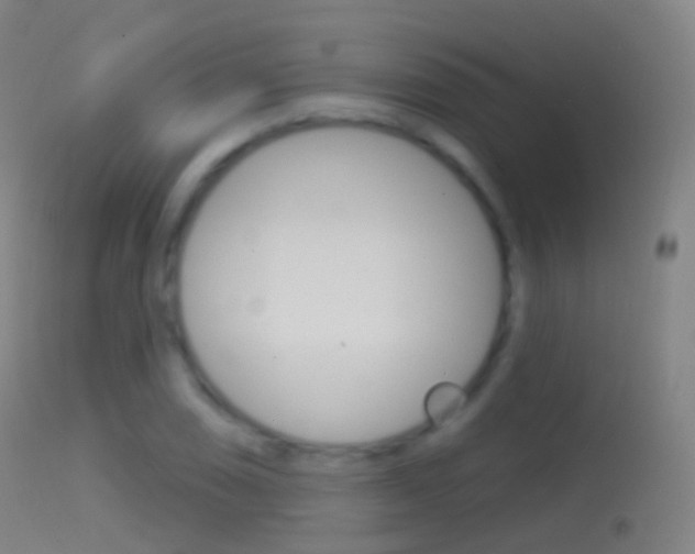 X0000114671074200910211003