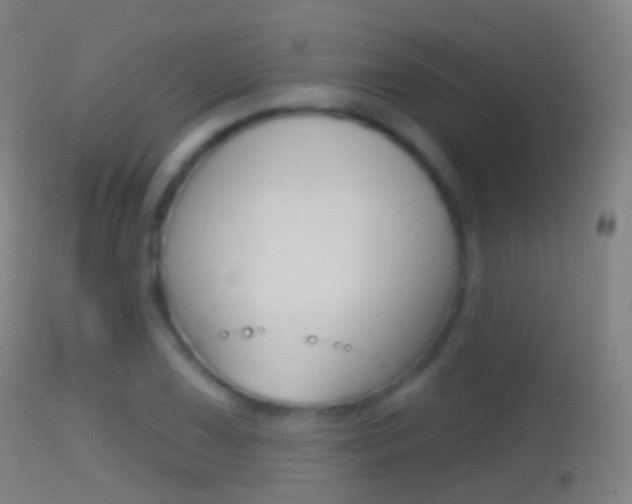 X0000114671075200910211003