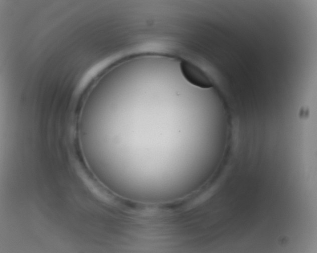 X0000114671077200910211003
