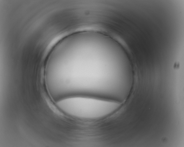 X0000114671079200910211003
