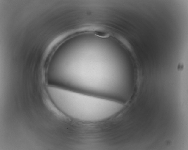 X0000114671080200910211003