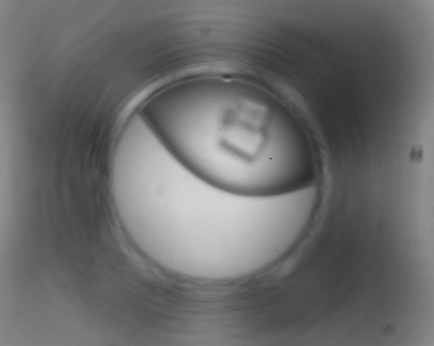 X0000114671081200910211003