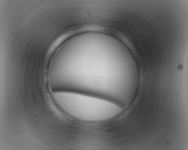 X0000114671082200910211003