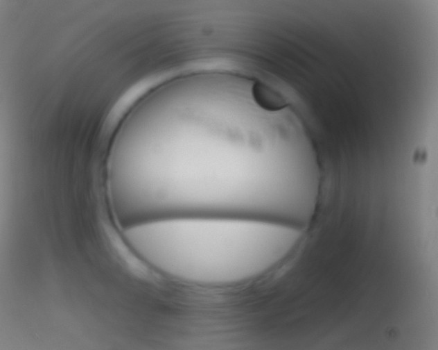 X0000114671086200910211003