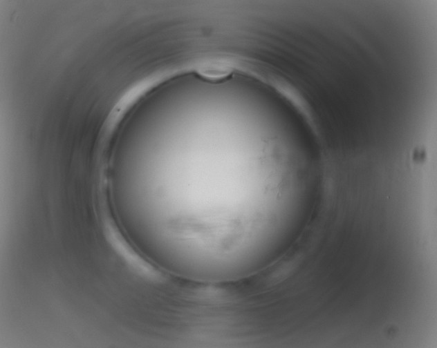 X0000114671088200910211003