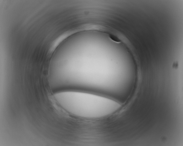 X0000114671089200910211003
