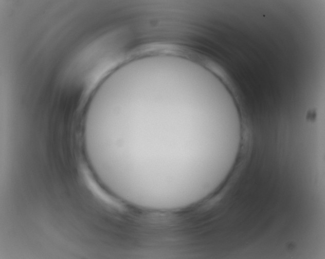 X0000114671090200910211003