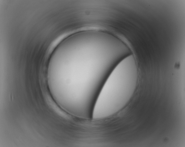X0000114671091200910211003