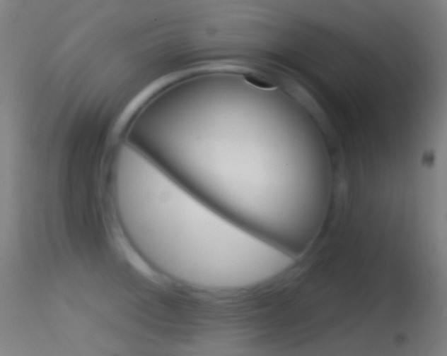 X0000114671092200910211003