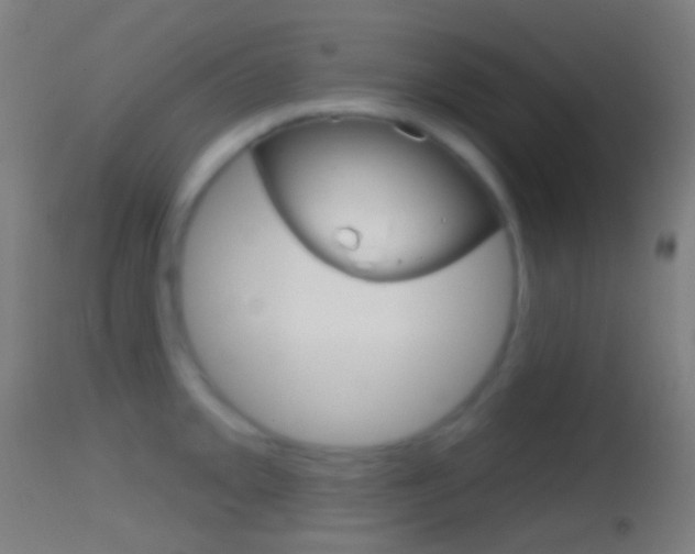 X0000114671093200910211003