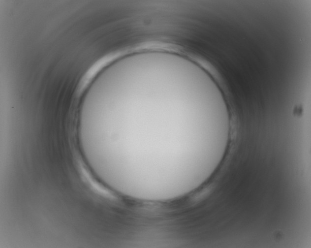 X0000114671094200910211003