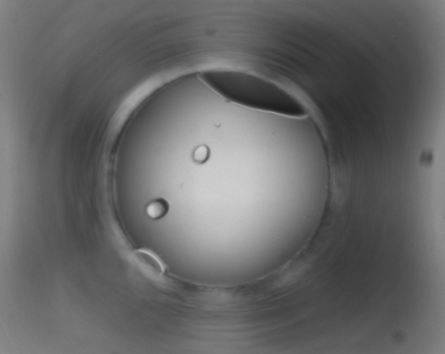 X0000114671096200910211003