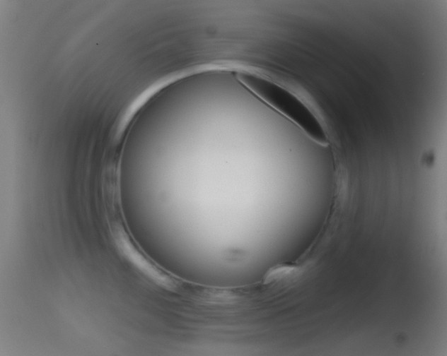 X0000114671100200910211003