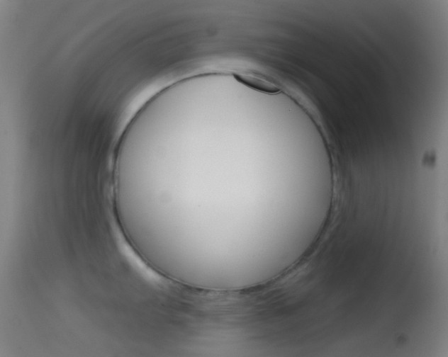 X0000114671103200910211003
