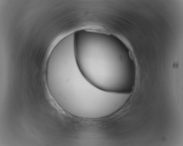 X0000114671104200910211003