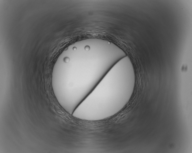 X0000114671105200910211002