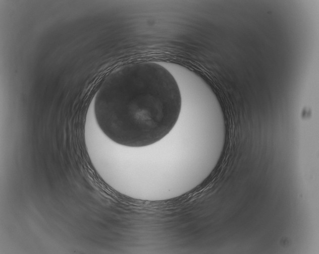 X0000114671106200910211002