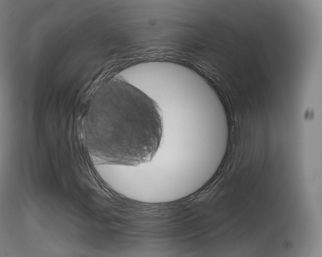 X0000114671107200910211002