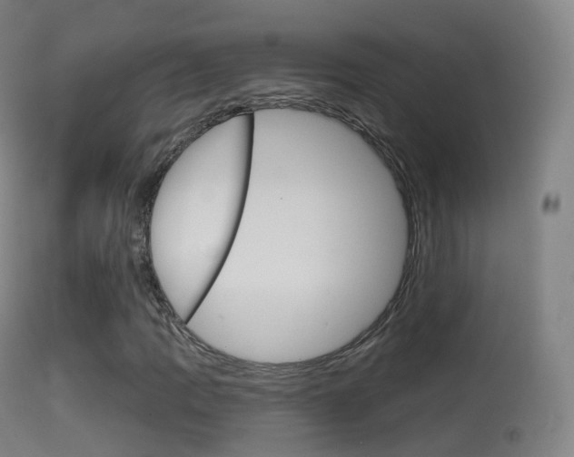 X0000114671109200910211002
