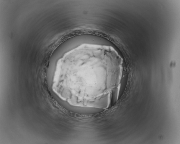X0000114671110200910211002