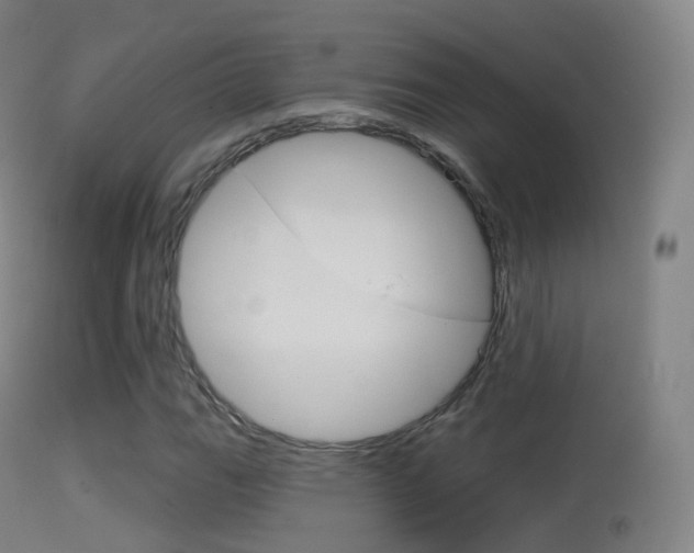 X0000114671111200910211003