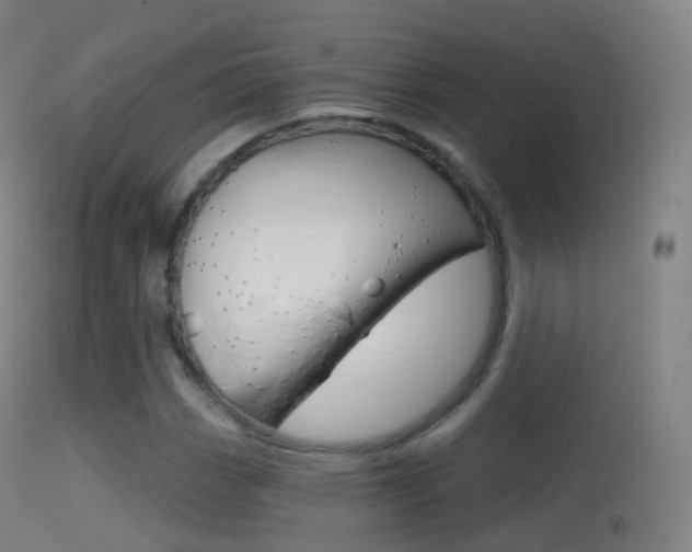 X0000114671113200910211003