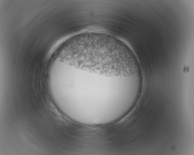 X0000114671115200910211003