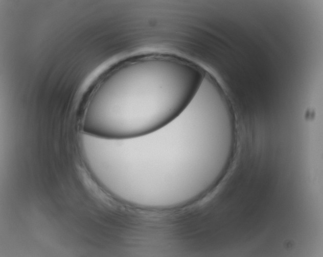 X0000114671118200910211003