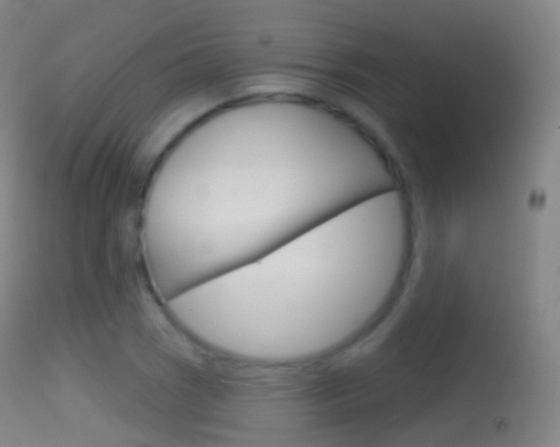 X0000114671121200910211003
