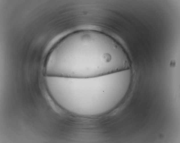 X0000114671125200910211003