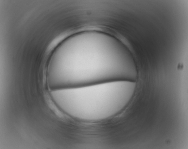 X0000114671127200910211003