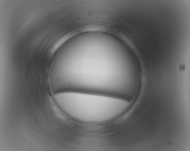 X0000114671129200910211003