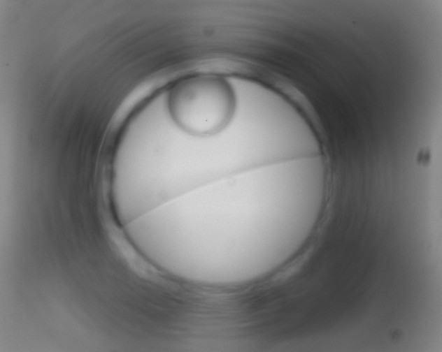 X0000114671130200910211003