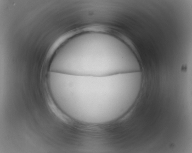 X0000114671131200910211003