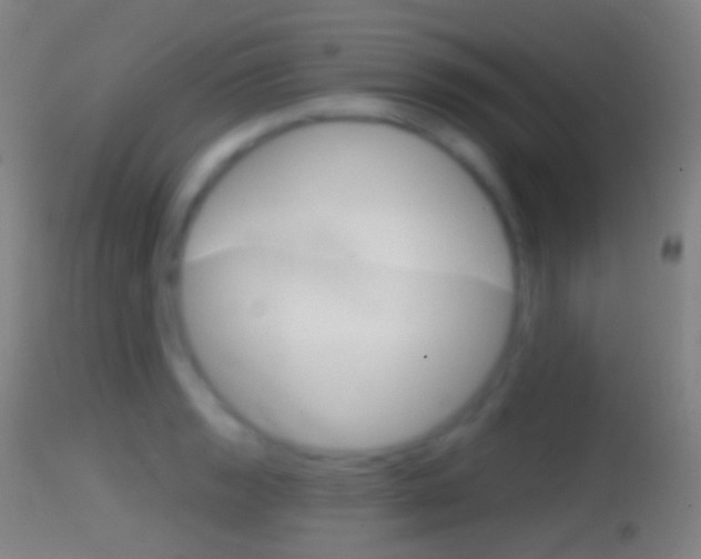 X0000114671133200910211003
