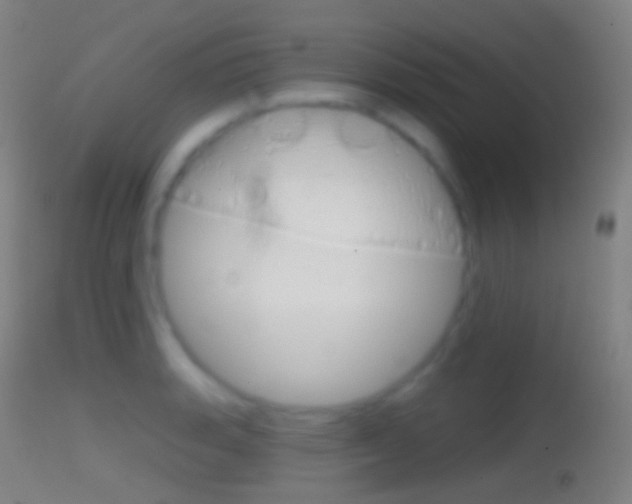 X0000114671135200910211003