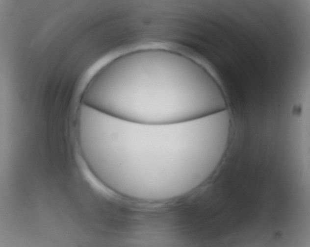 X0000114671143200910211003
