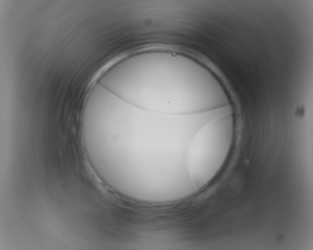 X0000114671145200910211003